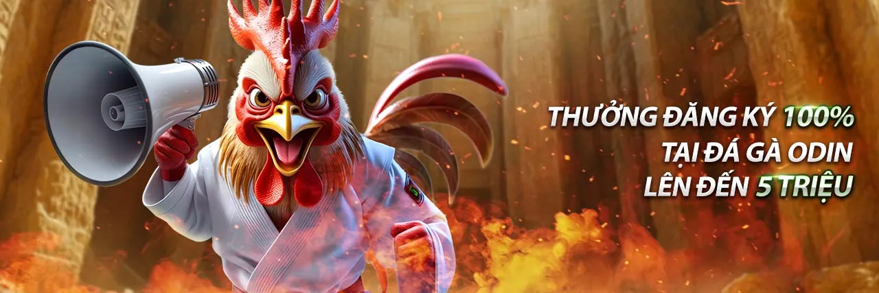 Cá Cược Thể Thao Tai Sun Win